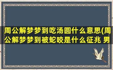 周公解梦梦到吃汤圆什么意思(周公解梦梦到被蛇咬是什么征兆 男性)